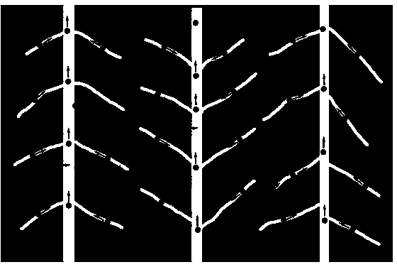 Irradiation resistance nano-porous membrane