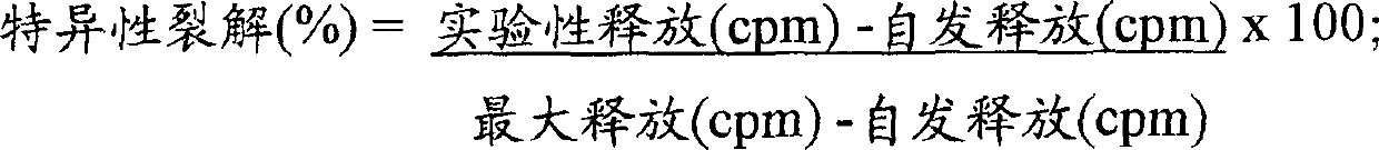 Antibody vaccine conjugates and uses therefor