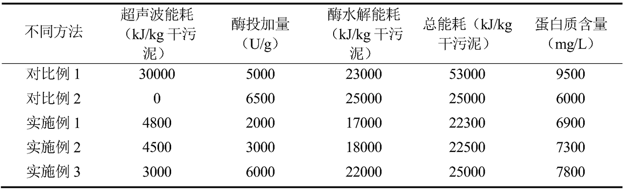 Method for extracting protein from sludge by low-intensity ultrasonic enhanced enzymolysis