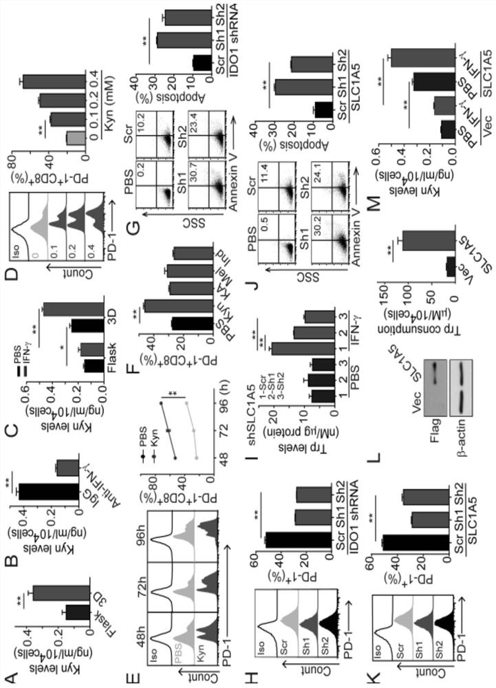 Application of reagents for detecting kyn content