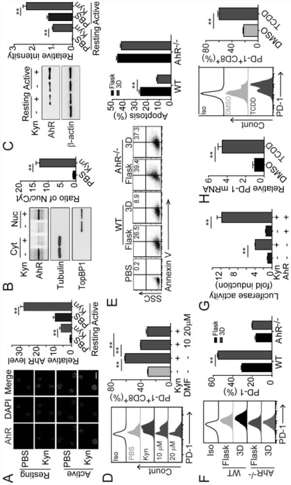 Application of reagents for detecting kyn content