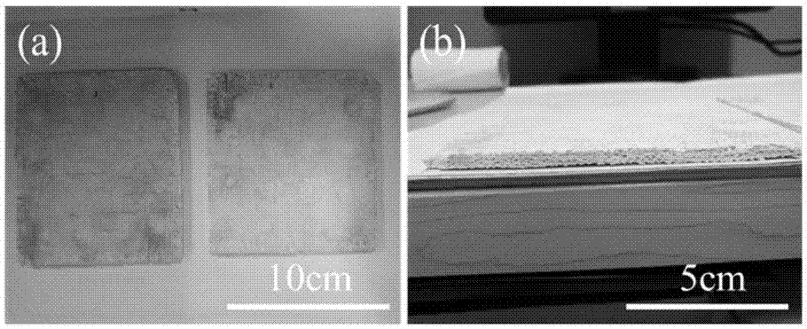 Alumina fiber reinforced nitride based wave permeable composite material and preparation method thereof