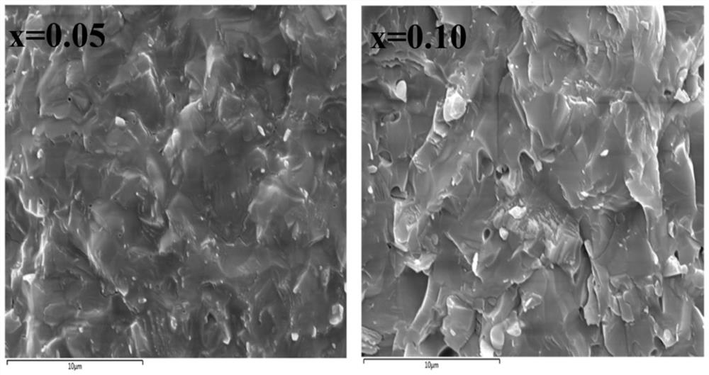 Mg &lt; 2 + &gt; doped and modified NASCION type sodium ion solid electrolyte and preparation method thereof