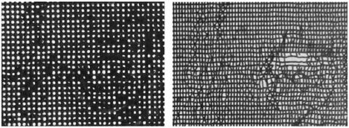 Paper forming die, die manufacturing method and paper manufactured by forming die