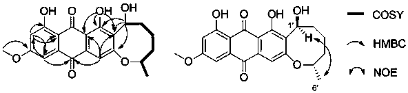 Anthraquinone compound derived from aspergillus versicolor and application thereof in preparation of human esophageal cancer resisting drugs