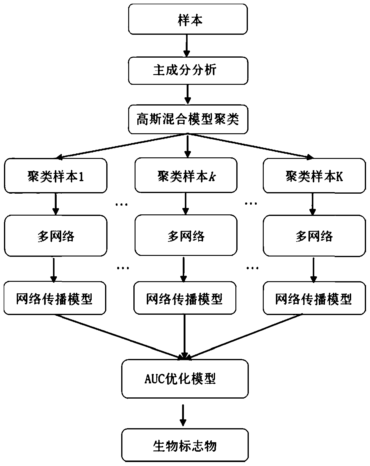 Biomarker identification method based on multiple networks