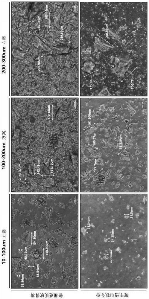 Method for producing composition for regenerating cartilage using freeze-dried hyaline cartilage powder, composition for regenerating cartilage produced using same, method for producing scaffold for regenerating patient-specific cartilage using composition for regenerating cartilage, and scaffold for regenerating patient-specific cartilage