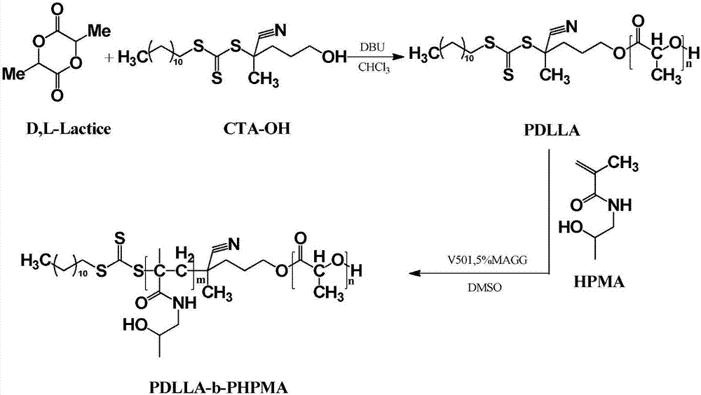 Block polymer, drug carrier containing same, and preparation method and application of block polymer