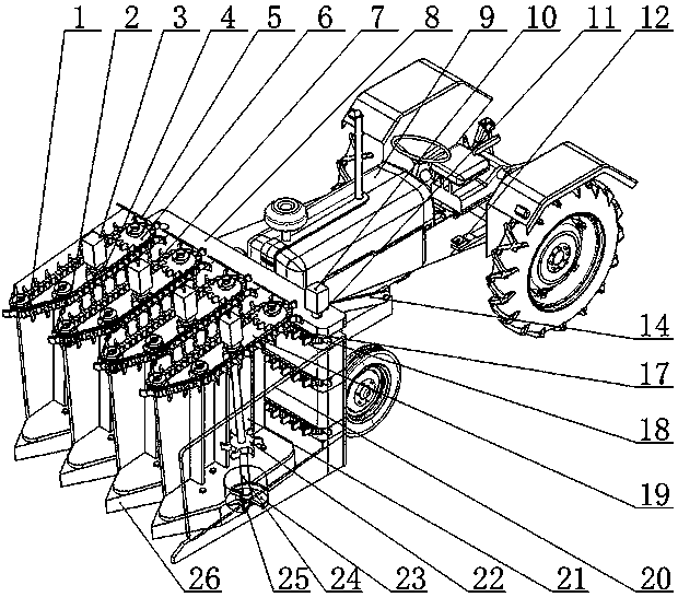 Holding chain type bast fiber crop harvester