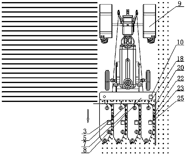 Holding chain type bast fiber crop harvester