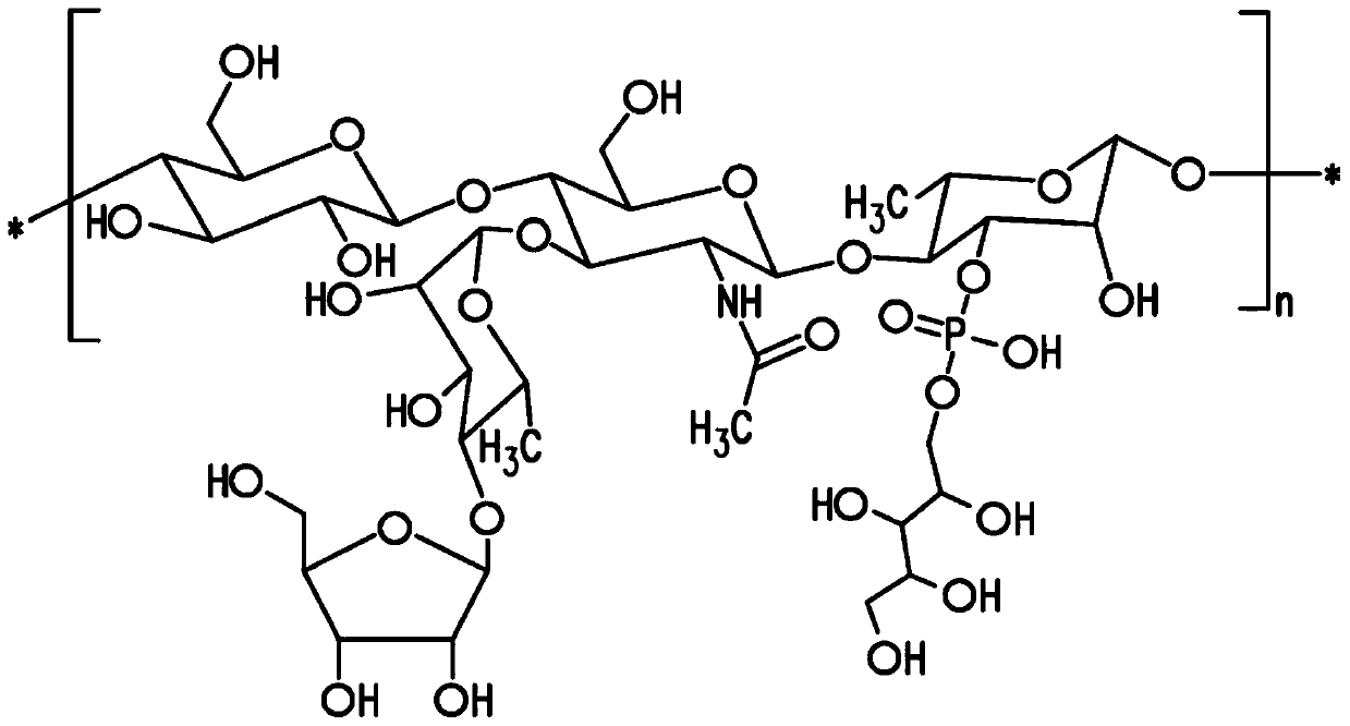 Pneumococcal polysaccharides and their use in immunogenic polysaccharide-carrier protein conjugates