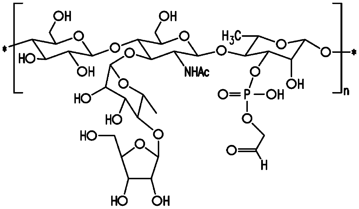 Pneumococcal polysaccharides and their use in immunogenic polysaccharide-carrier protein conjugates