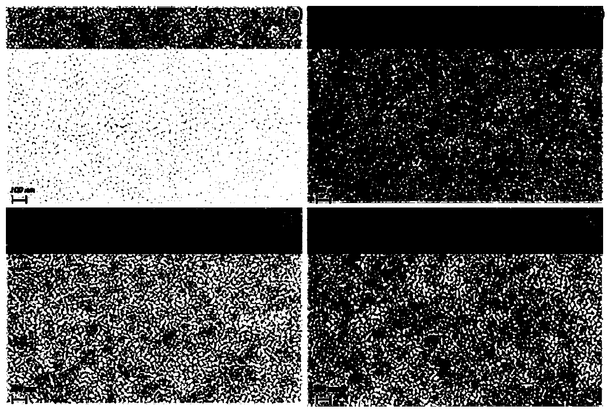 Method for preparing nitrogen and iodine co-doped titanium dioxide barrier layer