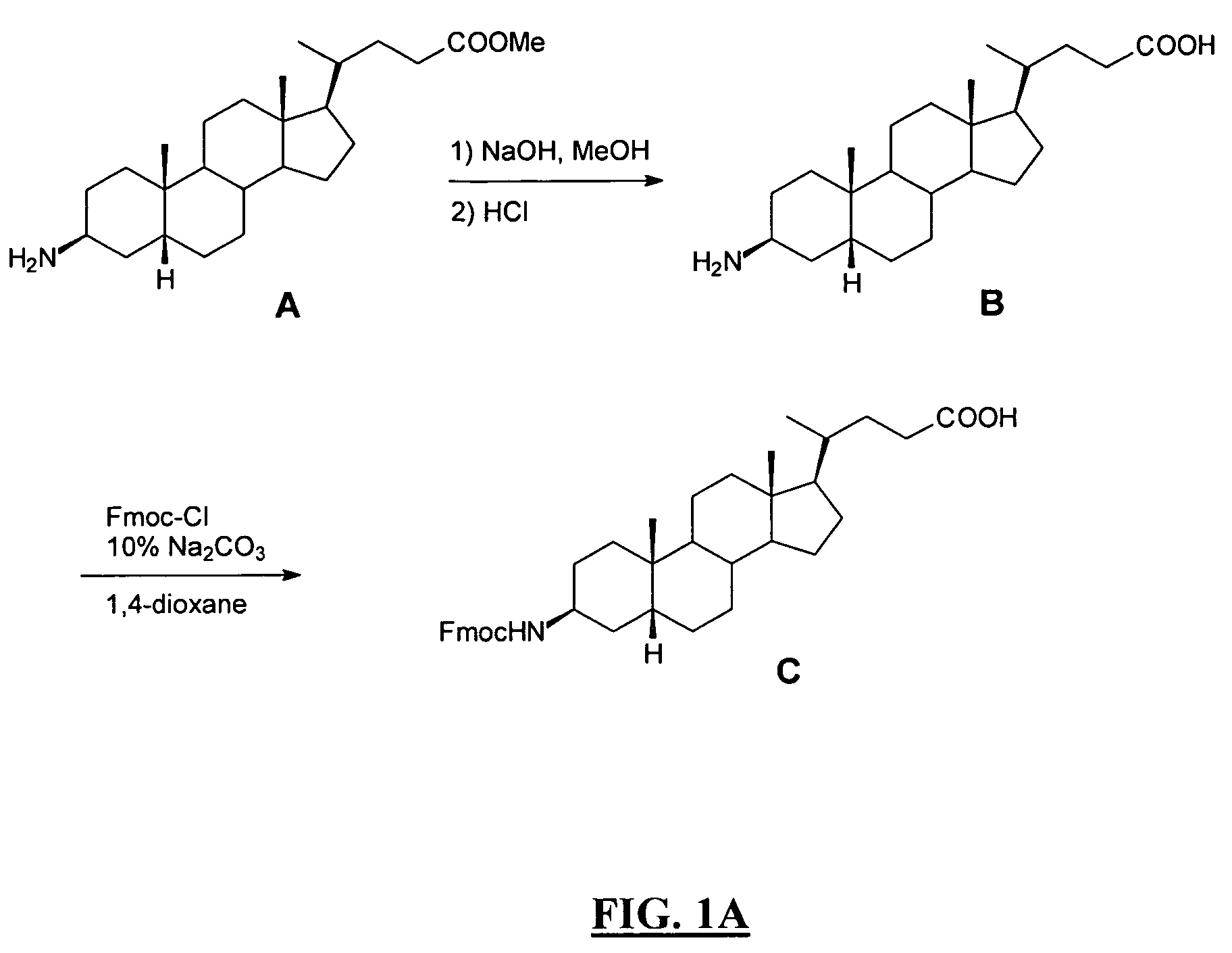 Gastrin releasing peptide compounds