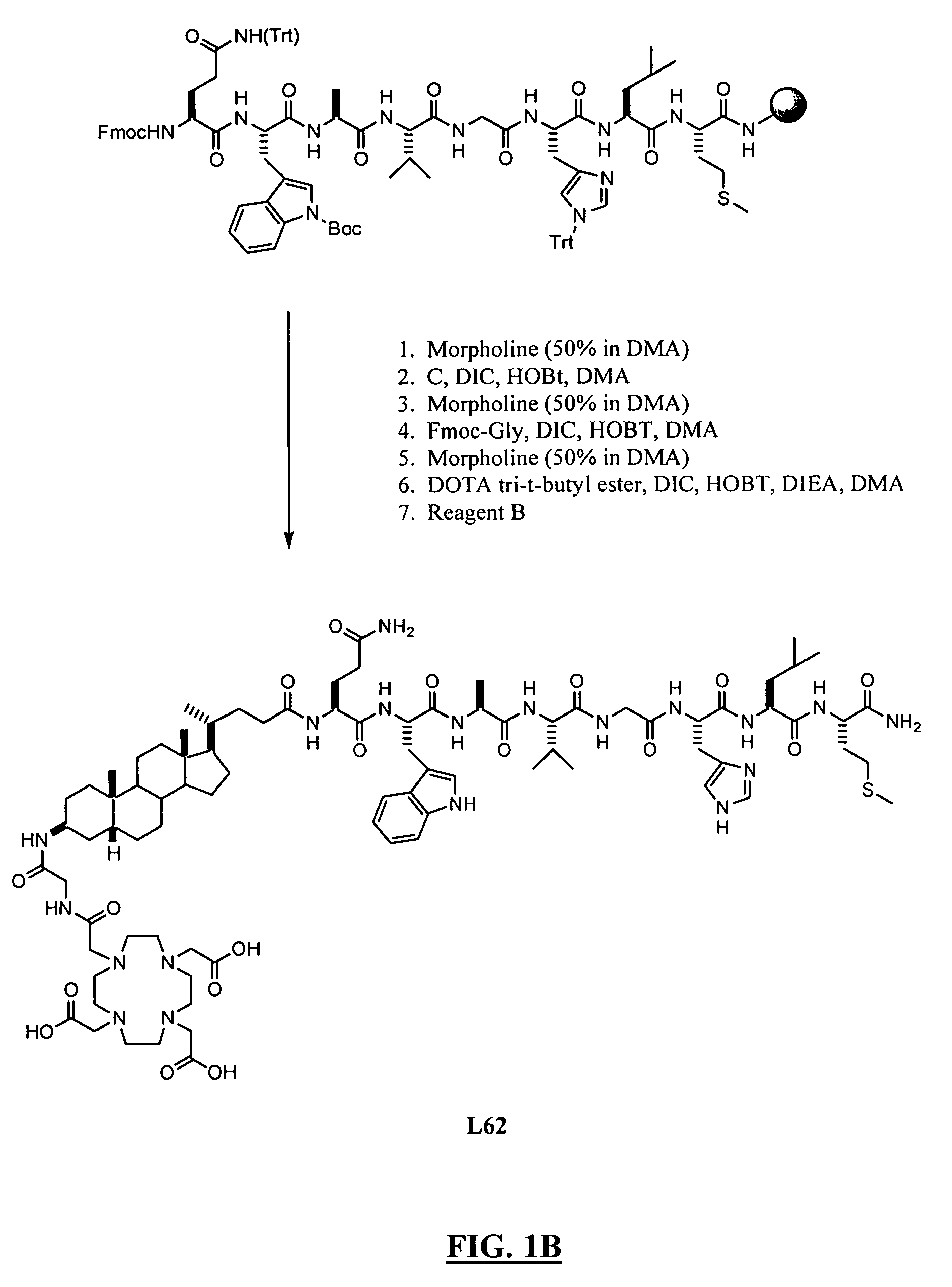 Gastrin releasing peptide compounds