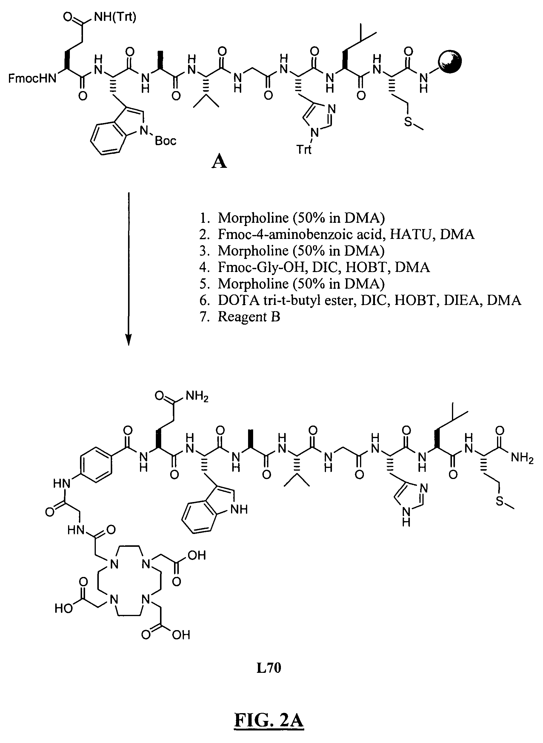 Gastrin releasing peptide compounds