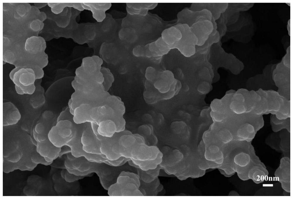 Conductive polypyrrole/traditional Chinese medicine composite hydrogel, preparation method and application thereof