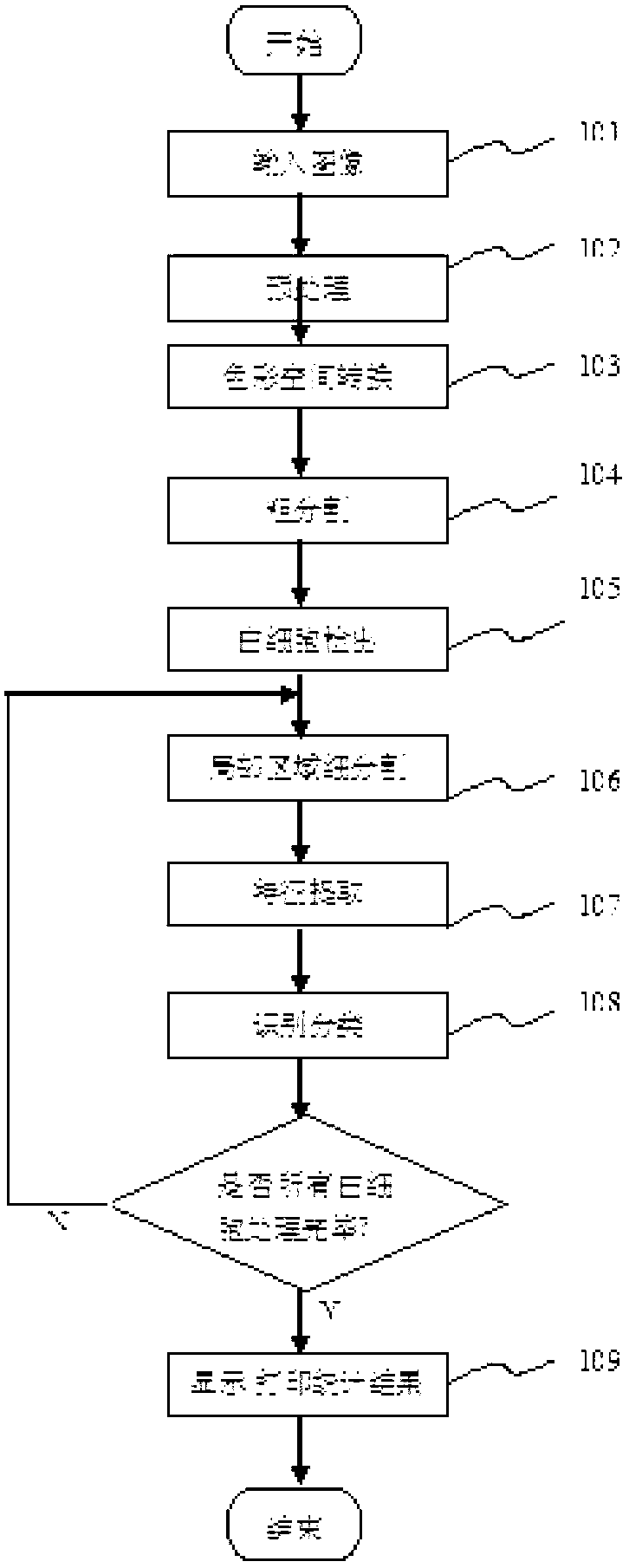 Method for automatically identifying and counting white blood cells