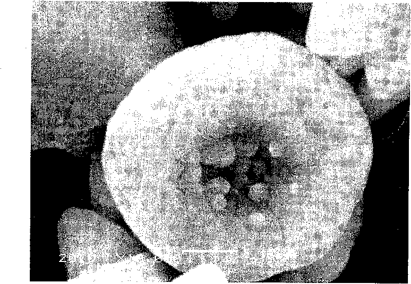 Rose-shaped nano zinc oxide preparation method