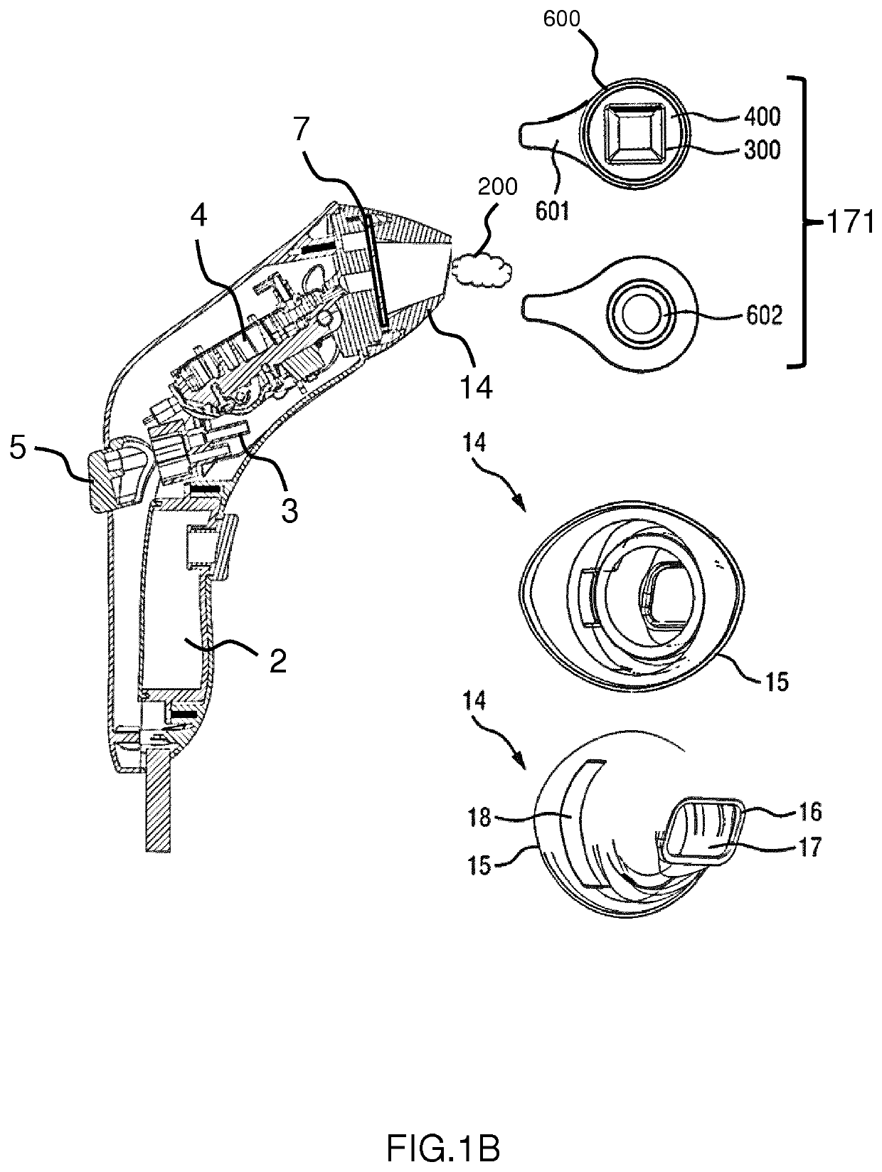 Stain removal accessory