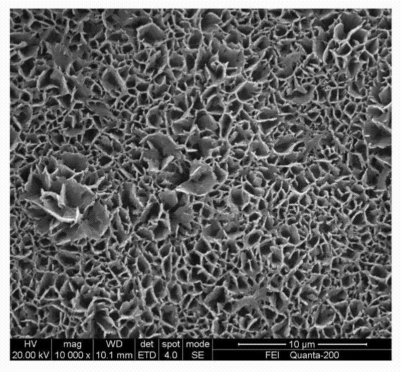 Preparation method of superhydrophobic surface of fiber-reinforced epoxy resin matrix composites