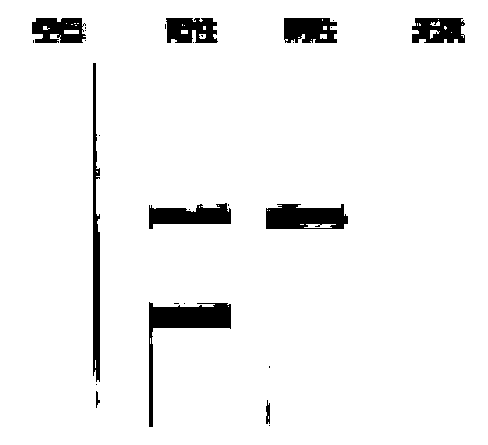 Lateral flow test paper strip detection kit for detection of fox source components in food and feed and application thereof