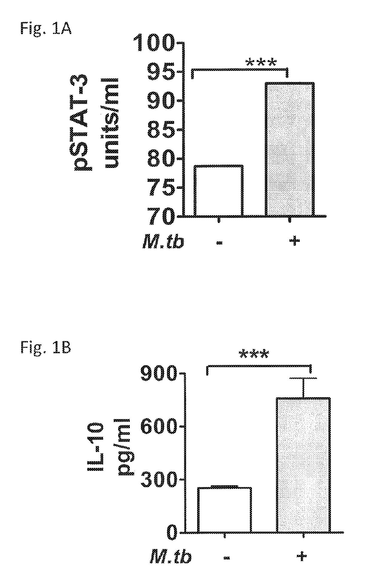 Use of peptide-based inhibitors of the stat3-IL10 pathway for treating bacterial infection and granulomatous disease