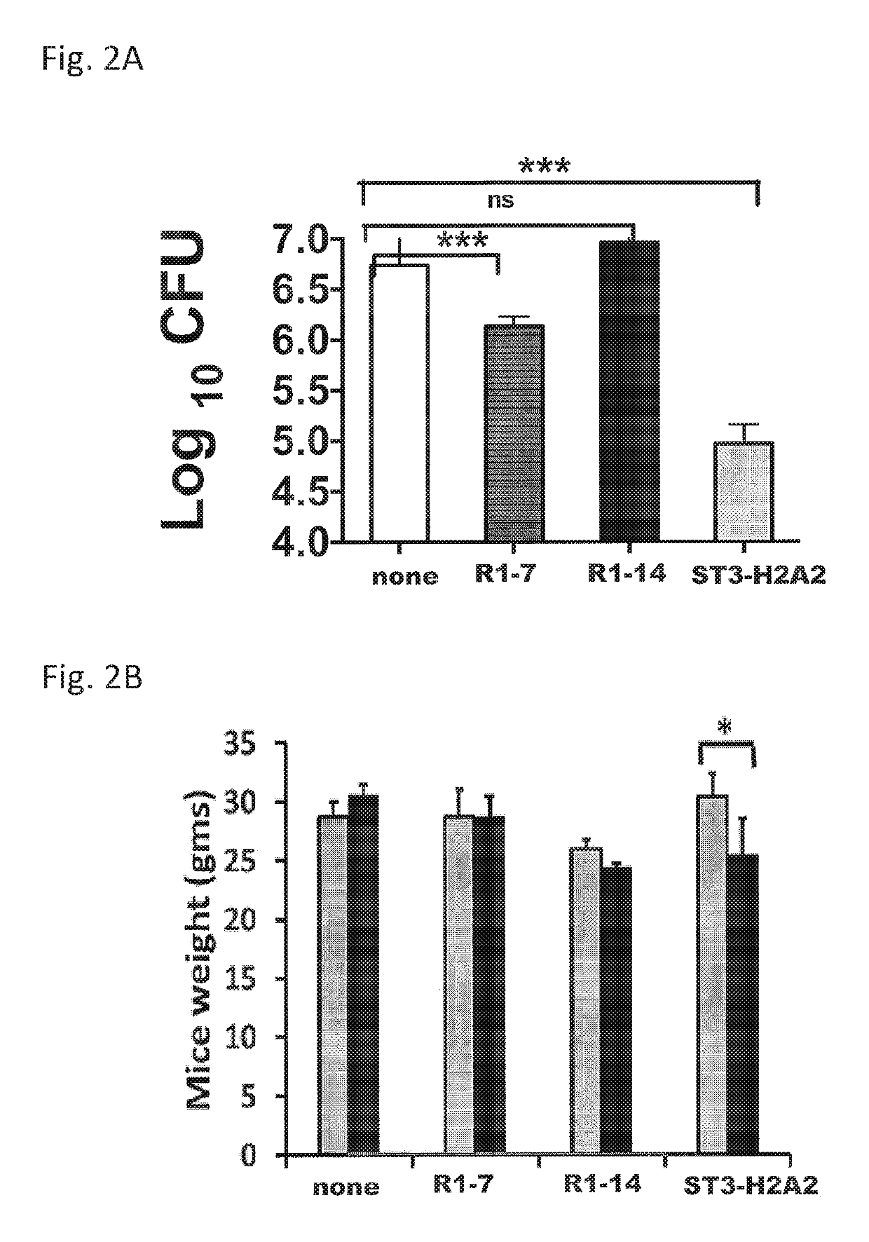 Use of peptide-based inhibitors of the stat3-IL10 pathway for treating bacterial infection and granulomatous disease