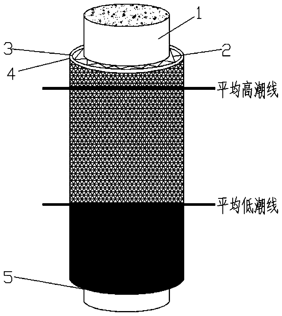 Method for constructing ecological high-durability concrete structure in marine environment