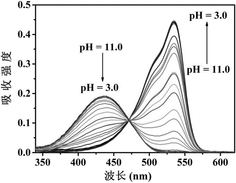 Ratiometric pH fluorescent probe as well as preparation method and application thereof