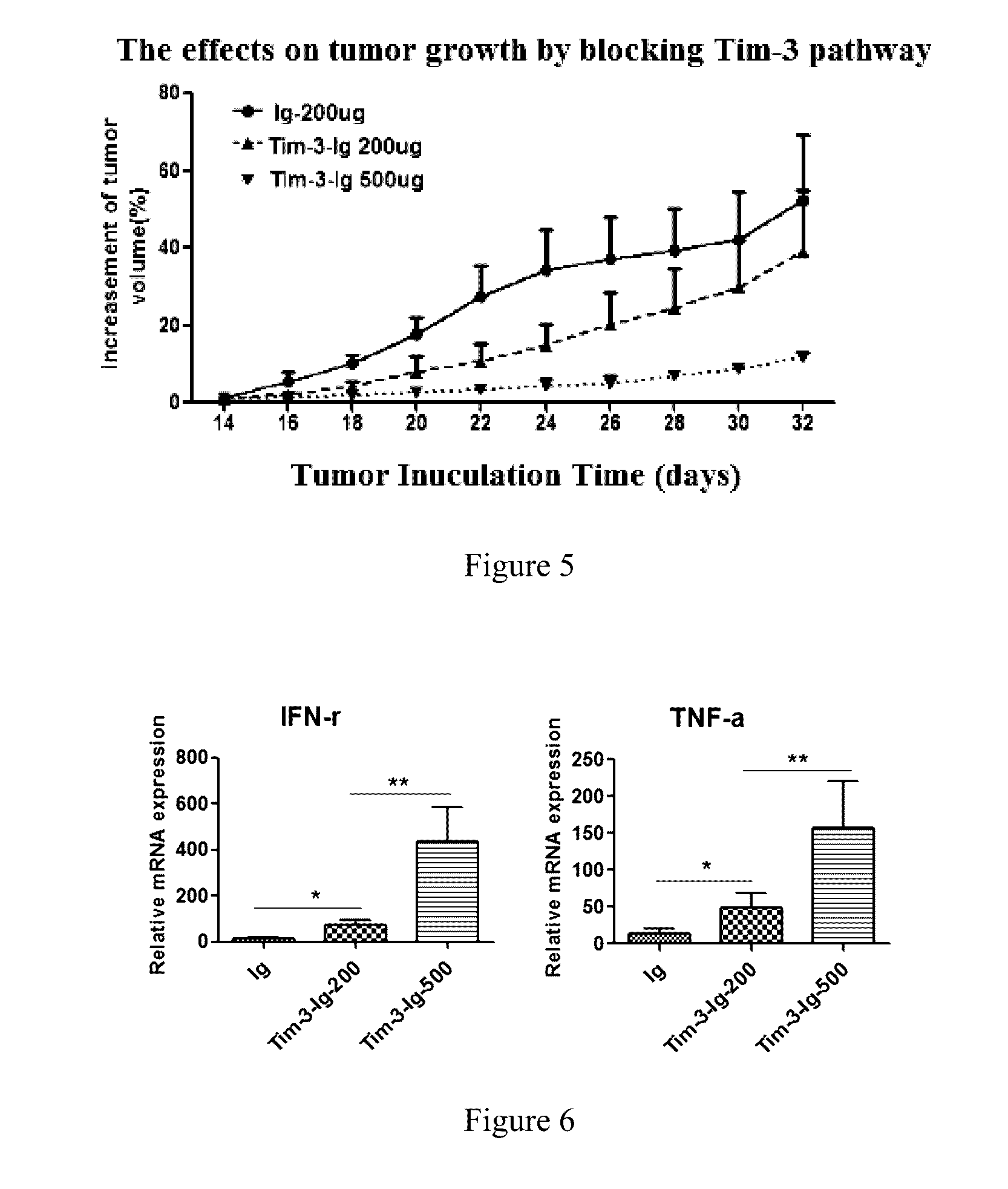 Human tim-3 fusion protein capable of blocking tim-3 signaling pathway