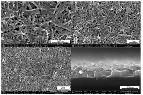 Perylene imide derivative self-assembly film and preparation method and application thereof