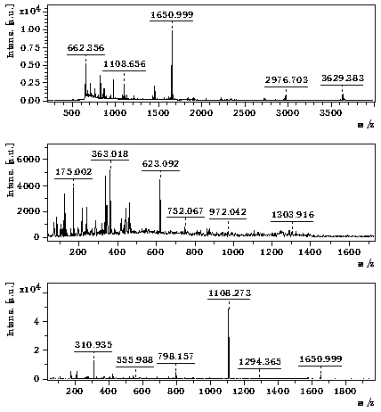 A method for screening and determining biomarkers of animal models of kidney yang deficiency