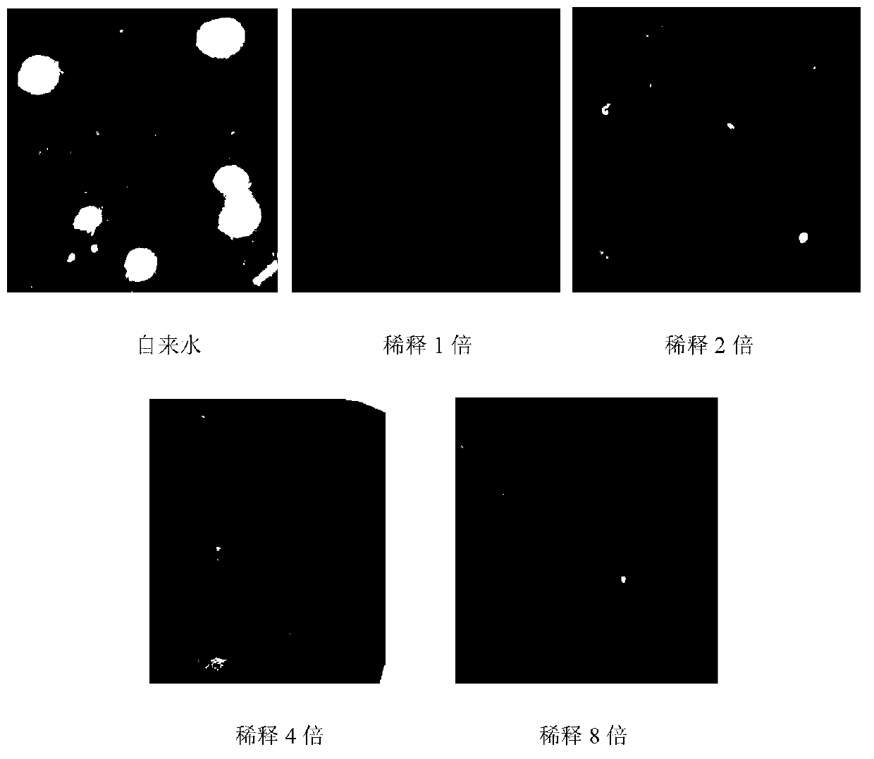 Method for screening and evaluating genetic toxicity of industrial wastewater with complex ingredients