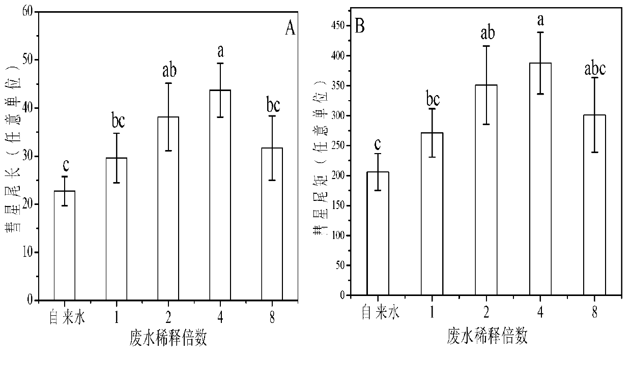 Method for screening and evaluating genetic toxicity of industrial wastewater with complex ingredients