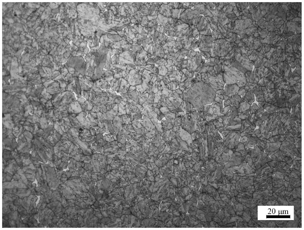 Etchant solution and method for displaying grain size of 0Cr17Ni4Cu4Nb precipitation hardening stainless steel