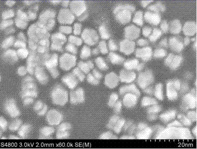 PAMAM (polyamide-amine)-modified water-soluble upconversion nanoparticles and preparation method thereof