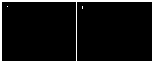 Feline calicivirus ch-jl5 strain inactivated vaccine