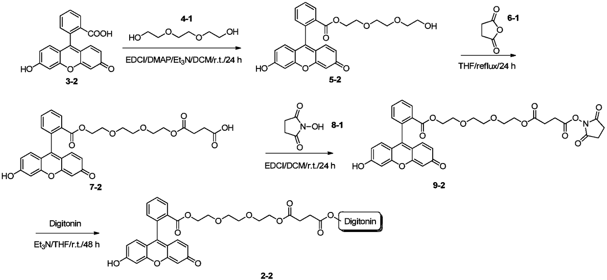 Fluorescence detecting reagent, preparation method thereof and system and method for measuring skin cholesterol