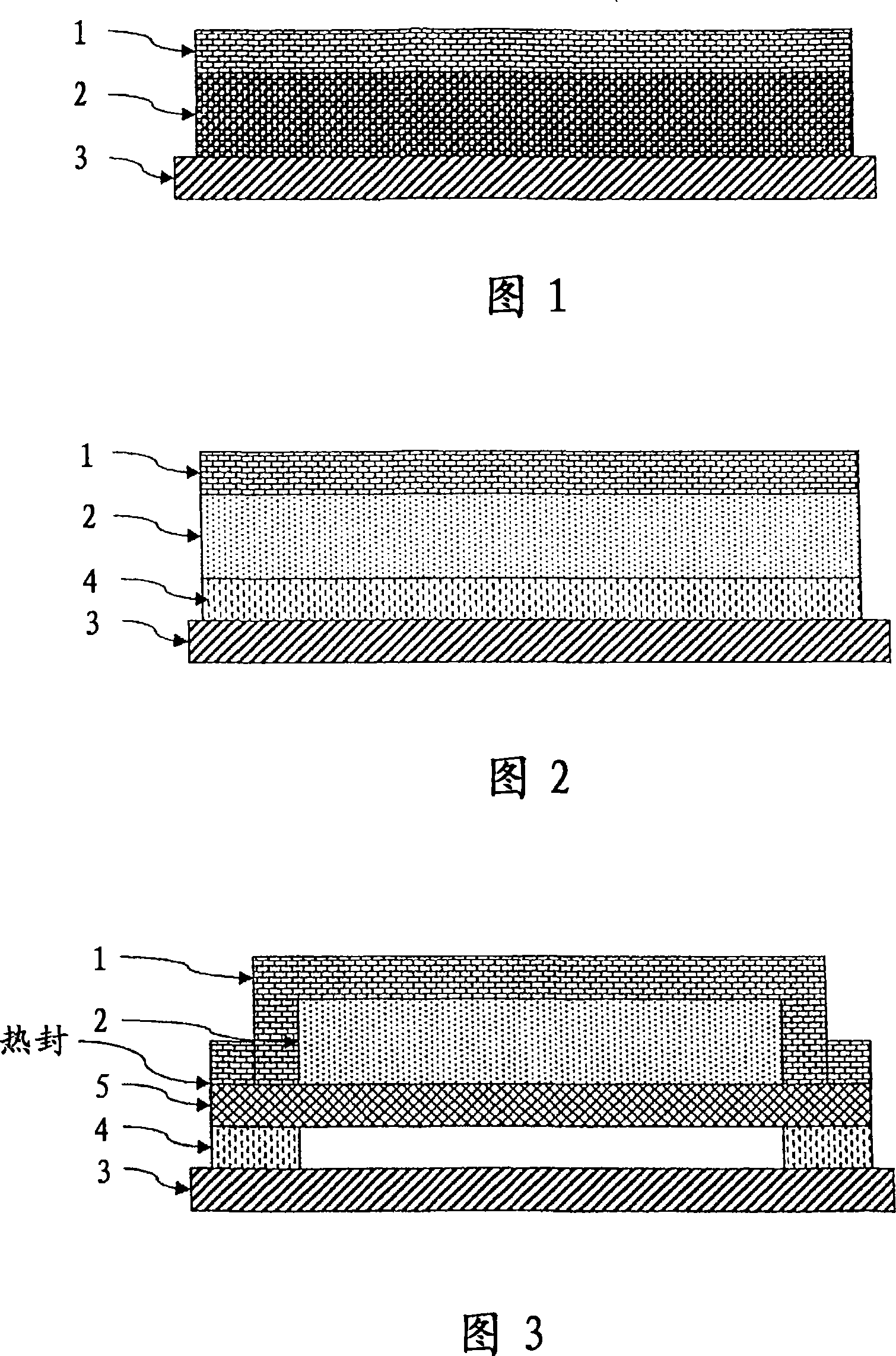 Device for delivery of TRPV1 agonists