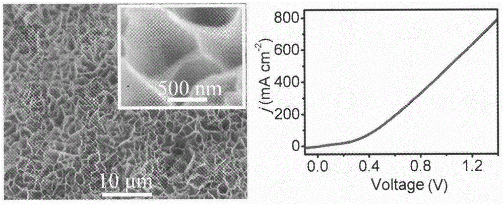 Low-energy-consumption electrochemical hydrogen production system based on difunctional nano array electrode