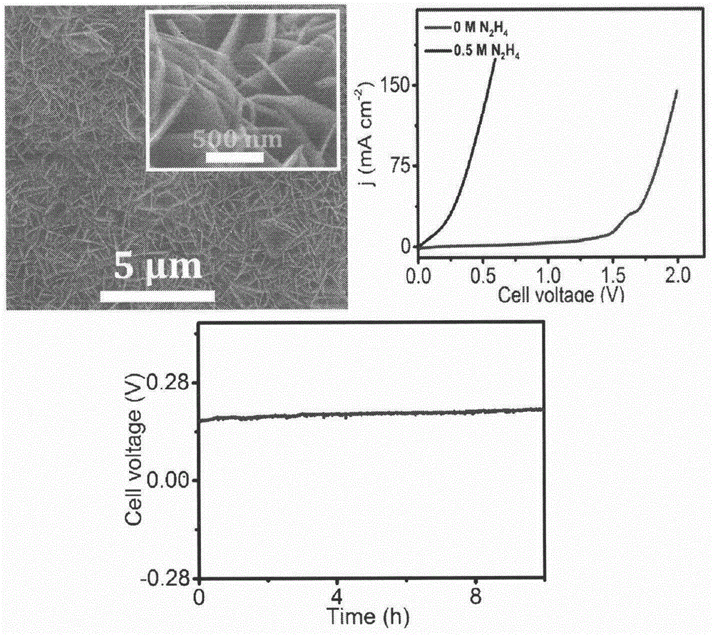 Low-energy-consumption electrochemical hydrogen production system based on difunctional nano array electrode