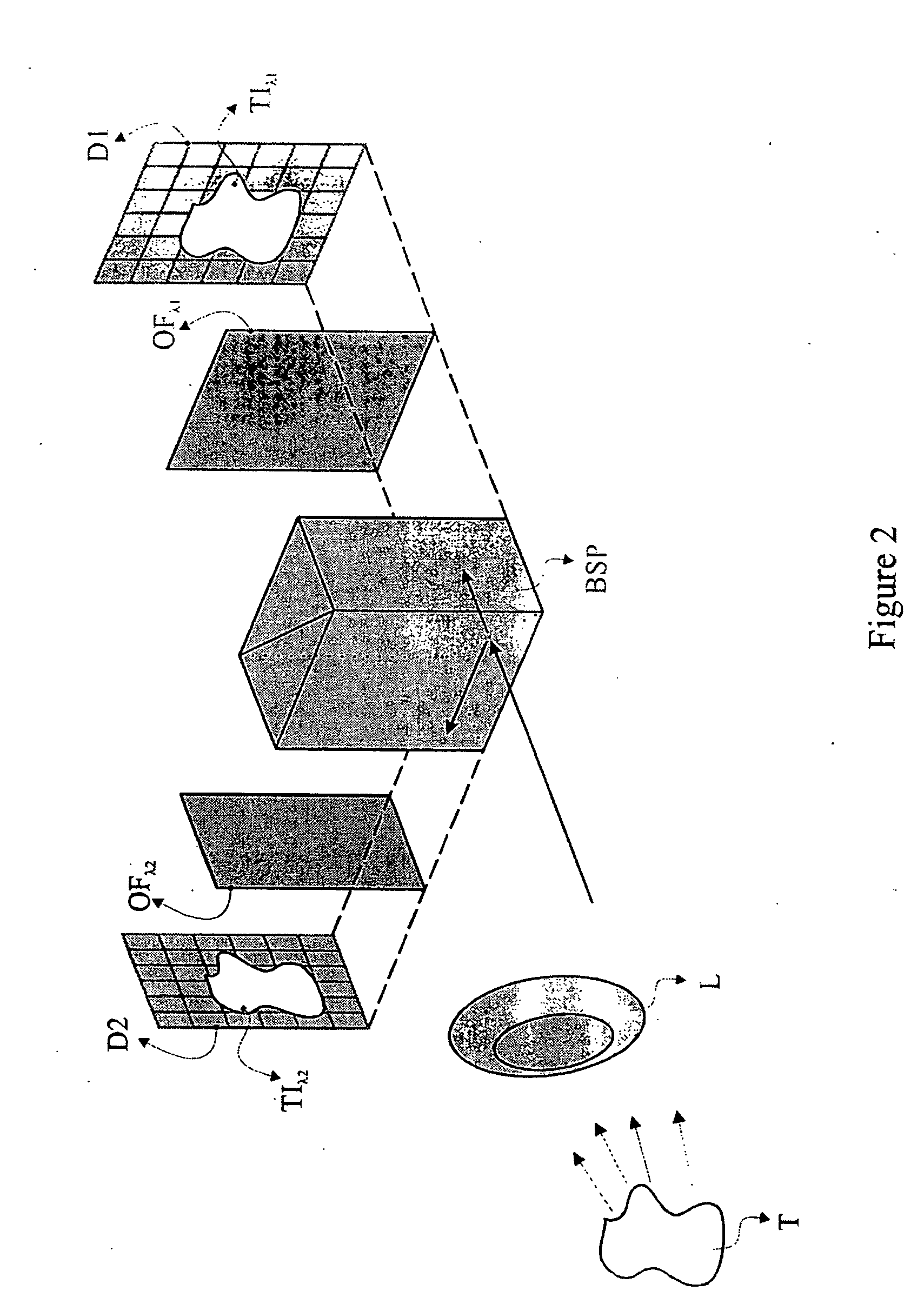 Method and system for characterization and mapping of tissue lesions