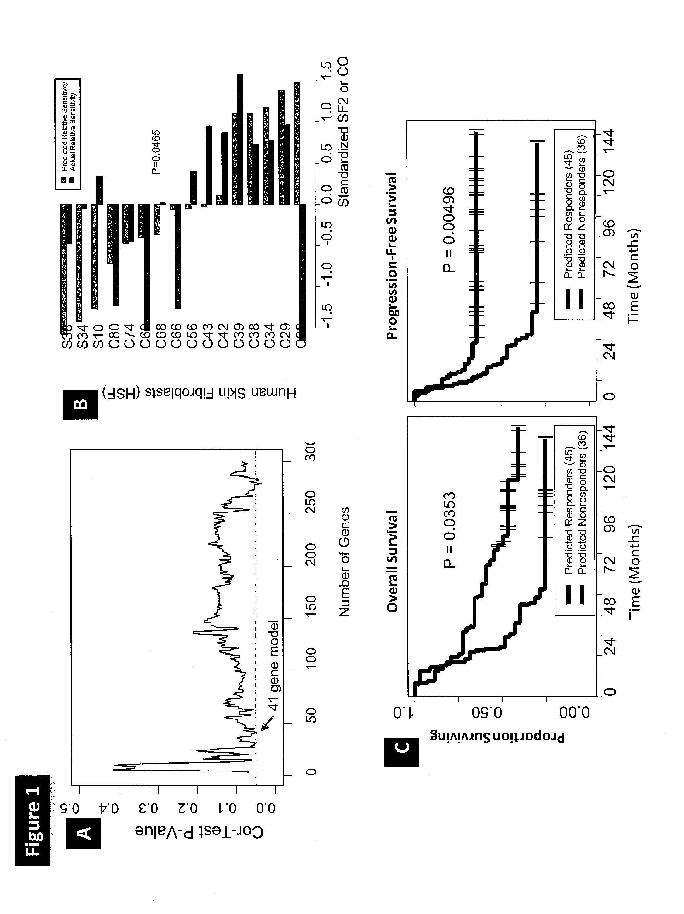 Methods for prediction of clinical response to radiation therapy in cancer patients