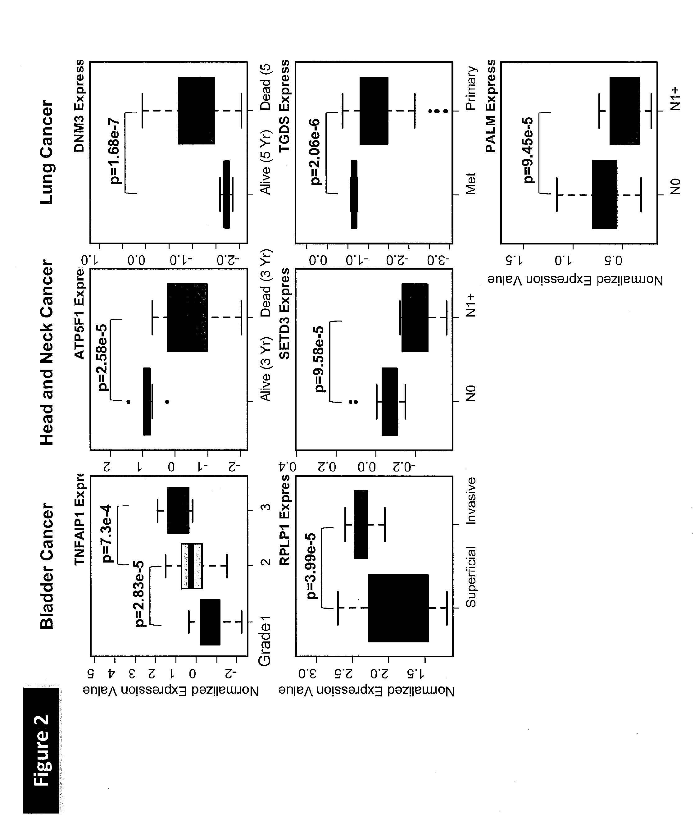 Methods for prediction of clinical response to radiation therapy in cancer patients