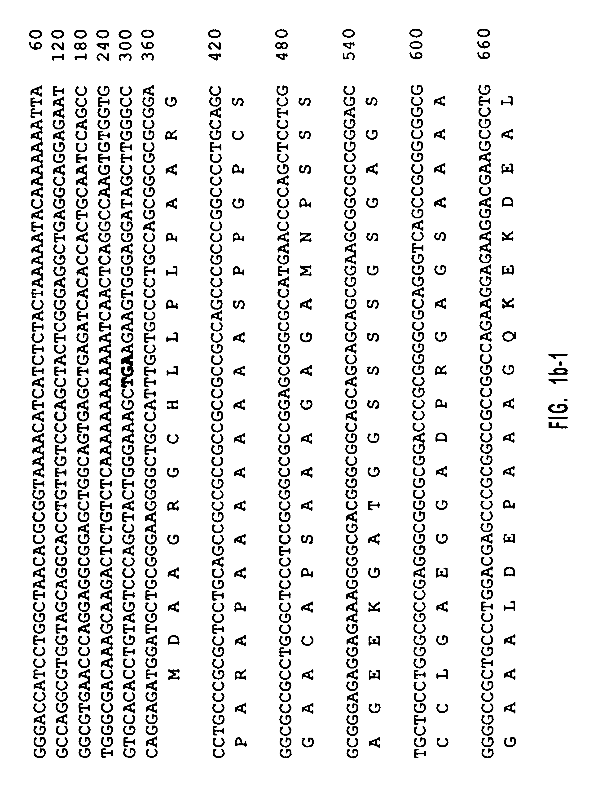 Human diacylglycerol kinase iota