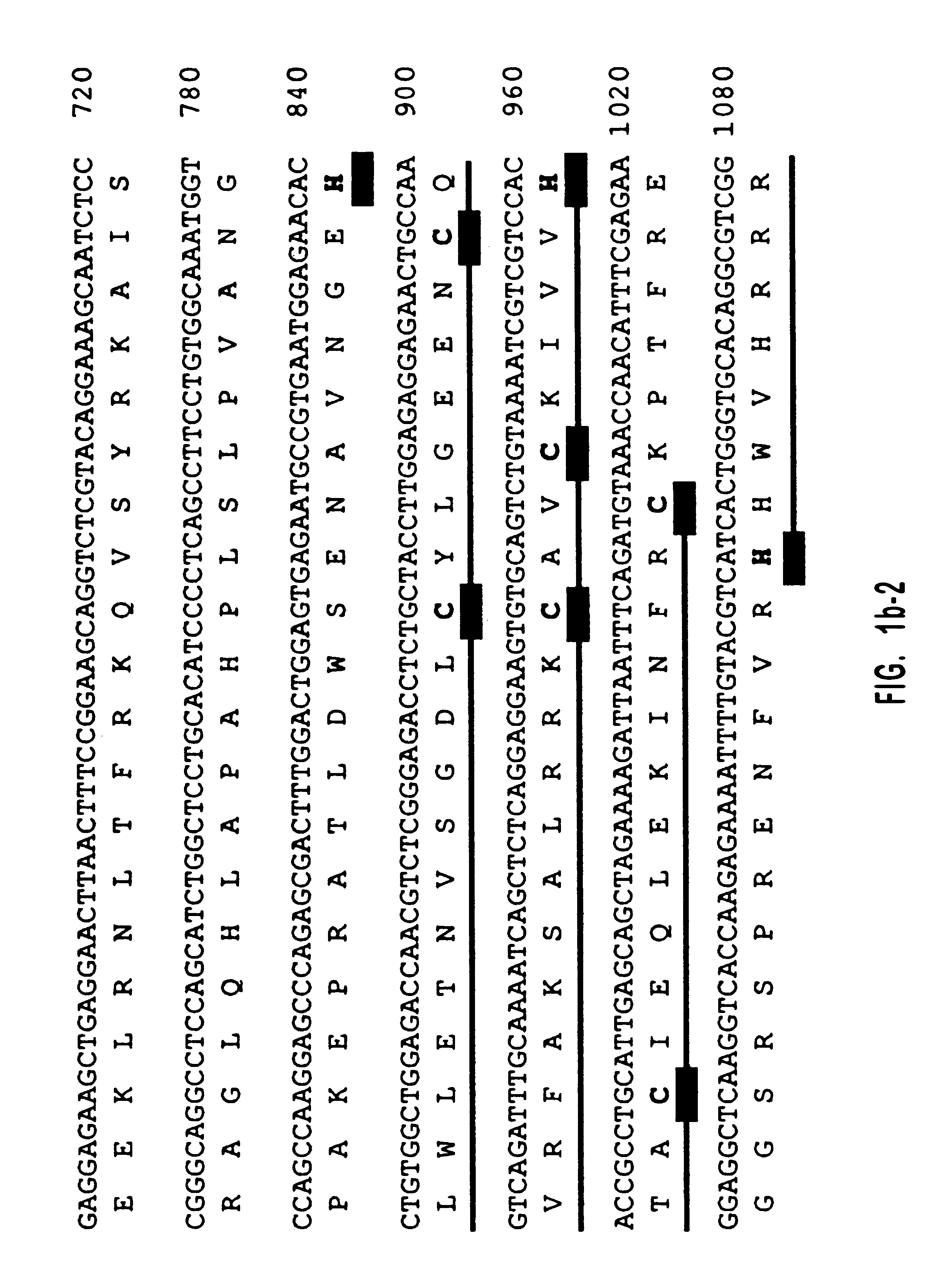 Human diacylglycerol kinase iota