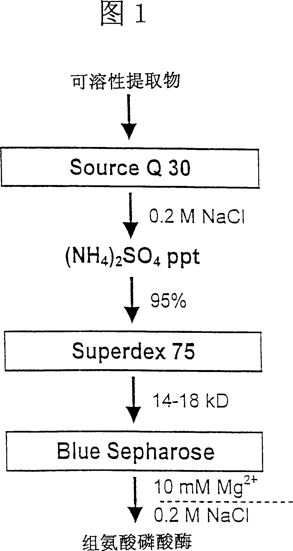 Histidine protein-phosphatase