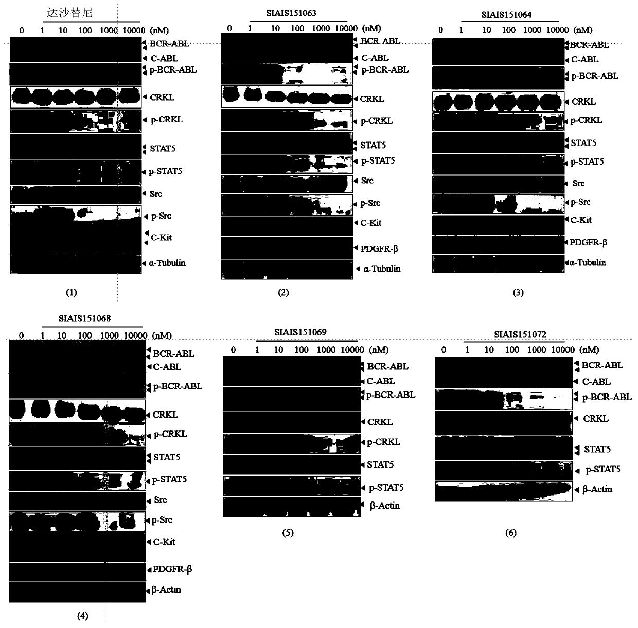 Protein degradation targeting BCR-ABL compound and application thereof to resisting tumors