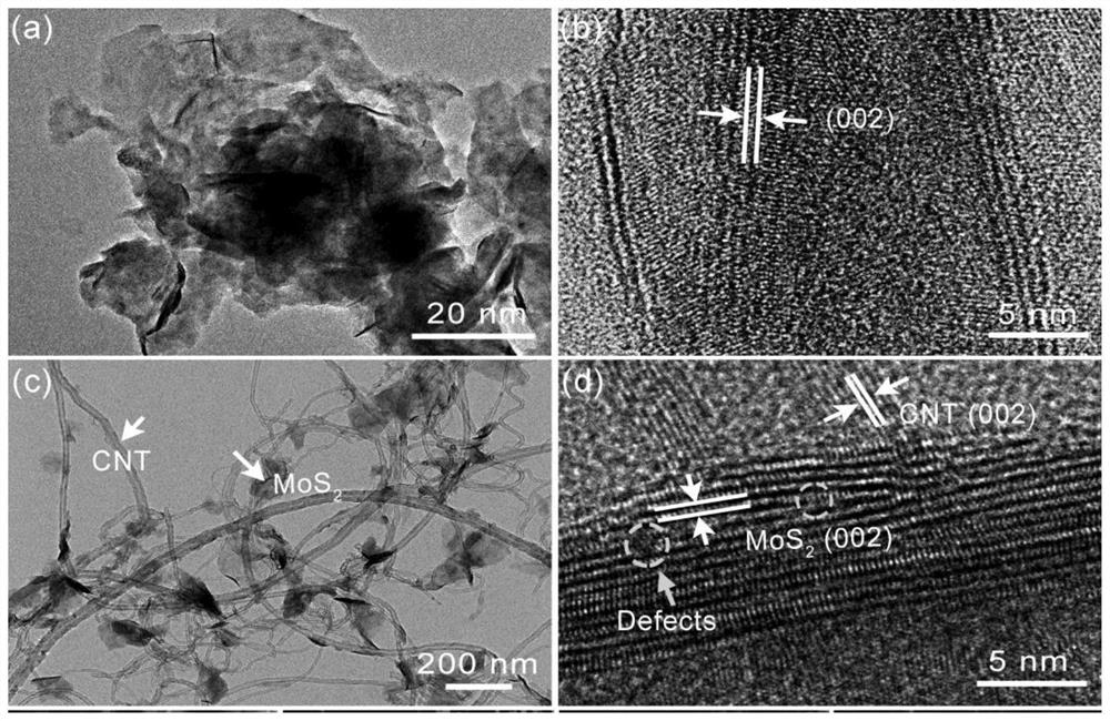 Preparation method of hydrogel based on carbon nanotube composite molybdenum disulfide nanosheets